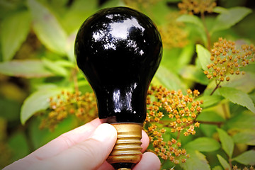 Image showing Light bulb held in palm