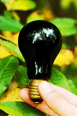 Image showing Light bulb held in palm