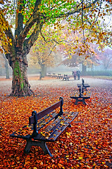 Image showing Senior couple in the park