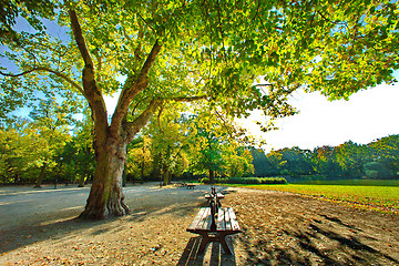 Image showing Park in fall time