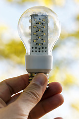 Image showing Light bulb held in palm