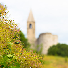 Image showing  Church of the Holy Trinity, Hrastovlje, Slovenia.