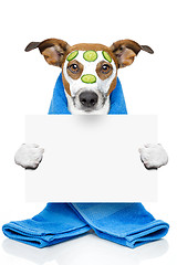 Image showing dog with a beauty mask