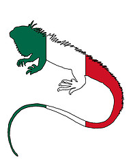 Image showing Iguana Mexico