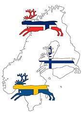 Image showing Scandinavian reindeers