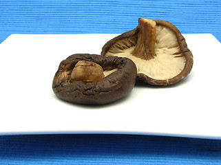 Image showing Shiitake on white plate and blue background