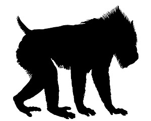 Image showing Mandrill silhouette