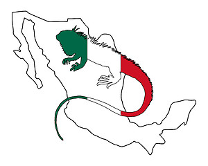 Image showing Iguana Mexico