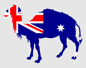Image showing Flag of Australia with camel