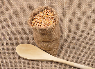 Image showing Cereal bag on jute