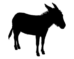 Image showing The black silhouette of a donkey on white 