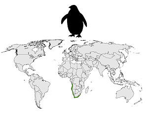 Image showing African penguin range