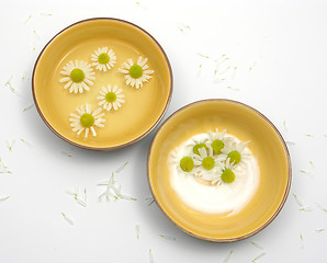 Image showing Camomile blooms in water and cream in ceramic bowls surrounded by white petals