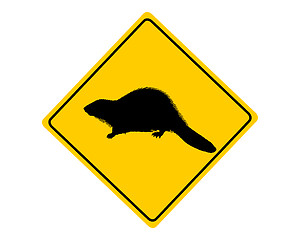 Image showing Beaver warning sign