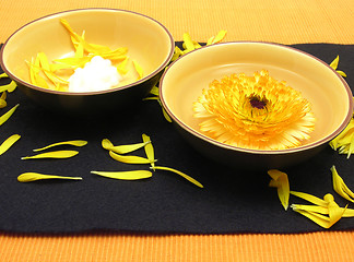 Image showing Beauty products of marigold on black and orange background 