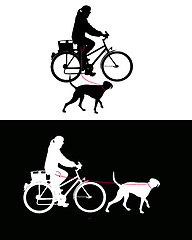 Image showing Women on bicycle with dogs on leash