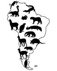 Image showing Animals South America