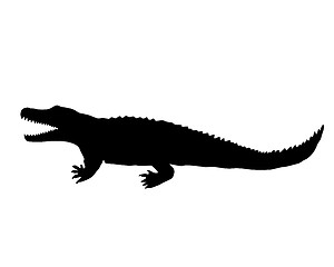 Image showing Nile crocodile silhouette