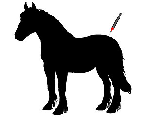 Image showing Immunization for horses
