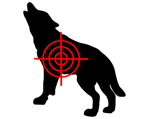 Image showing Gray wolf crosslines