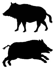 Image showing The black silhouettes of two boars on white