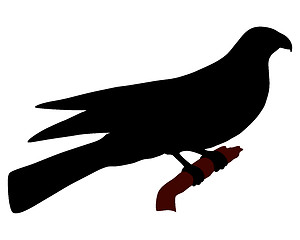 Image showing Falcon Silhouette