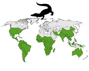 Image showing Crocodiles range