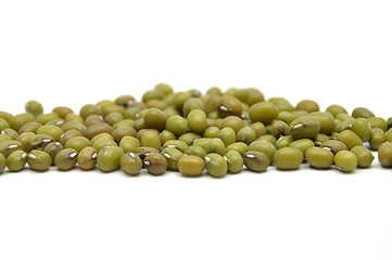 Image showing Sprouting mung bean