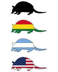 Image showing Armadillo flags