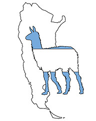 Image showing Lama Argentina