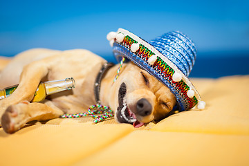 Image showing drunk mexican dog