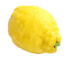 Image showing Single fresh yellow lemon