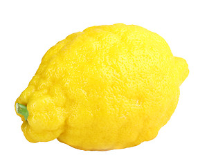 Image showing Single fresh yellow lemon