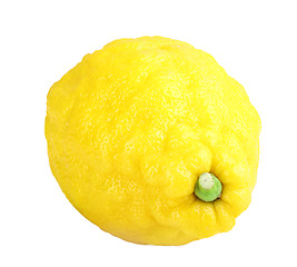 Image showing Single fresh yellow lemon