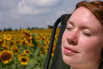 Image showing Warmth of the Sun