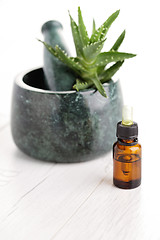 Image showing aloe vera essential oil