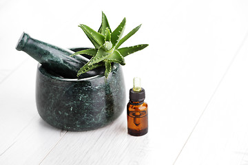 Image showing aloe vera essential oil