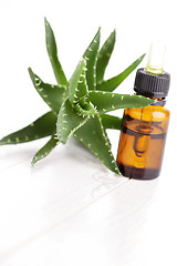 Image showing aloe vera essential oil