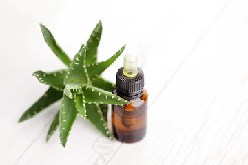 Image showing aloe vera essential oil