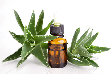 Image showing aloe vera essential oil