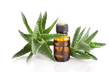 Image showing aloe vera essential oil