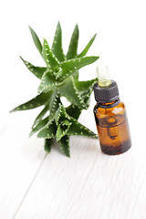 Image showing aloe vera essential oil