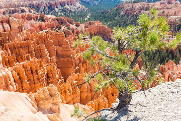 Image showing Bryce Canyon