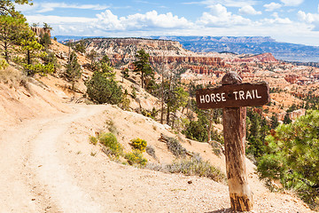 Image showing Horse Trail