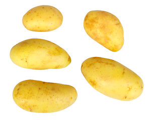 Image showing Several yellow raw potatos