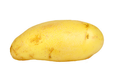 Image showing Single yellow raw potato