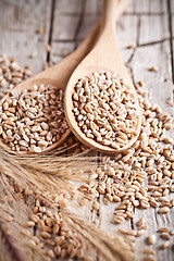 Image showing wheat grain in wooden spoons