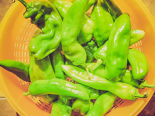 Image showing Retro look Green peppers