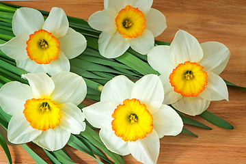 Image showing Large blossoming narcissuses on a table.