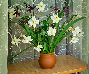 Image showing Blossoming narcissuses in a vase on a table.